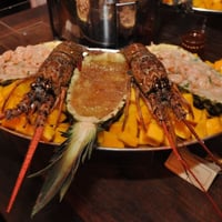 Alta gastronomia