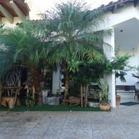 salao 8