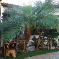 salao 9