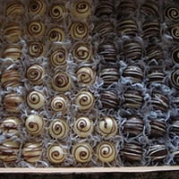 mini-trufas