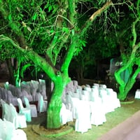 luz cênica a vapor ou led para arvores