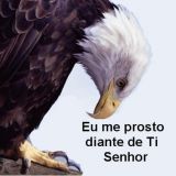 segurancaeeventos