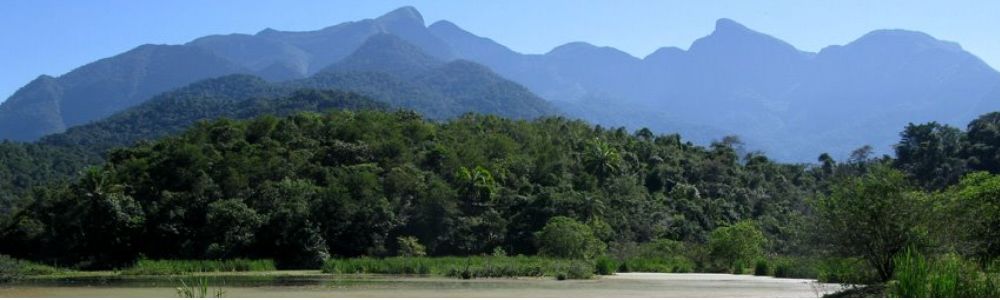 Selvagem em Foco - Cursos e Consultoria Ambiental