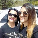 shirleifestas