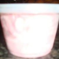 sorvetes em potinhos de 100 ml