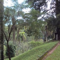 estrada sítio