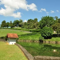 Lago 8)