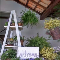 Mini wedding
Receptivo ecológico
Búzios