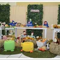 Festa Galinha Pintadinha e Fazendinha