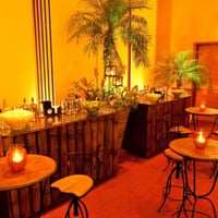 Casamento - Open Bar