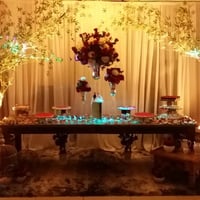 Casamento SINDILOJAS