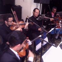 Quarteto de Cordas