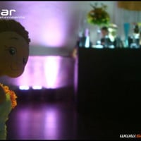 Stand Bar Bartenders
