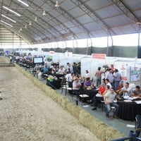 Stands em octanorme e pisos elevados