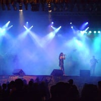 Shows 2