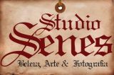 studiosene