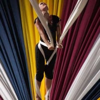 Shows de tecido aéreo e lira