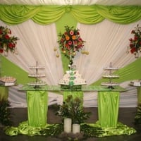 Verde e  Branco