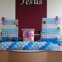 PAINEL DE BEXIGA