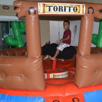 Mini touro mecânico 
para crianças até 9 anos 
3,5 x 3,5 e 2 altura