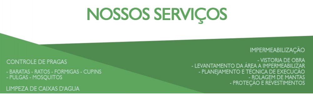 Top Rio Desinsetização