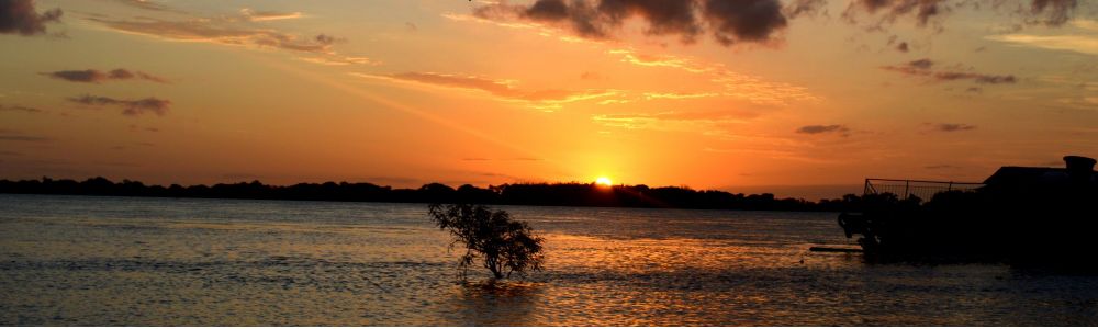 Trindade Photography