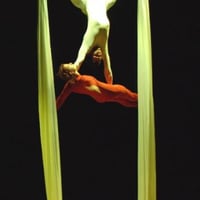 Tecido Acrobático