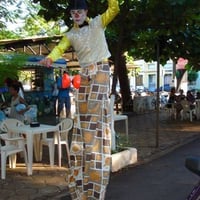 perna de pau