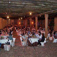 Organização | Desfile Beneficente
