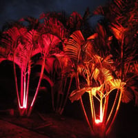 Set light (iluminação decorativa)