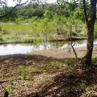 Laguinho