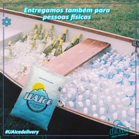 Gelo Premium moído