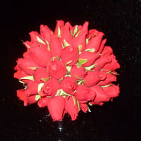 Buque Rosas Vermelhas