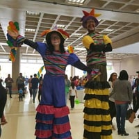 Perna de pau