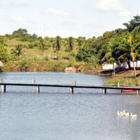 Lagoa com rio perene
