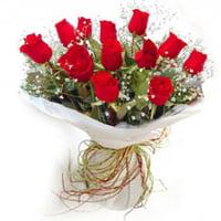 Buque rosas