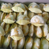 Pastel de Forno