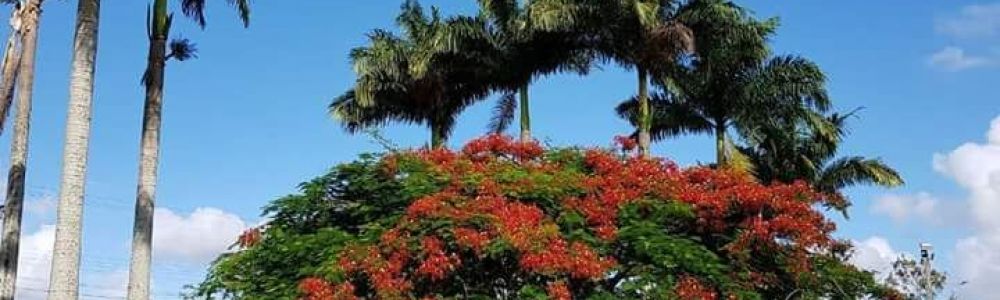 Villa Radnai Espaço e Eventos