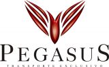 voepegasus