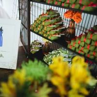 Casamento Ilha Bela.