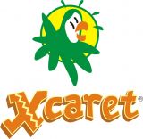 xcaretbar