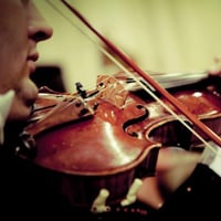 violino