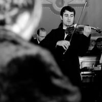 violino