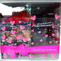 Vitrine de Loja e Shopping